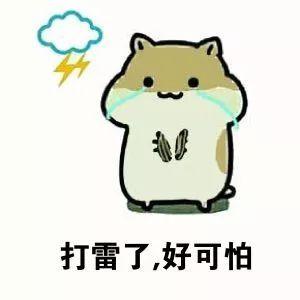 贵州毕节话是怎么说的，贵州毕节一带方言短句用语