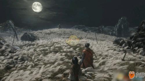 只狼中苇名之底在哪，影逝二度》全葫芦种子收集攻略