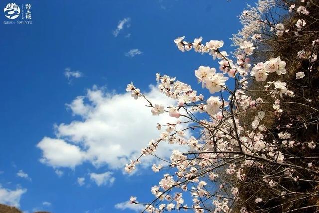 秋天河北必玩十大景区，河北必须要去的9个最美旅游景点全在这里