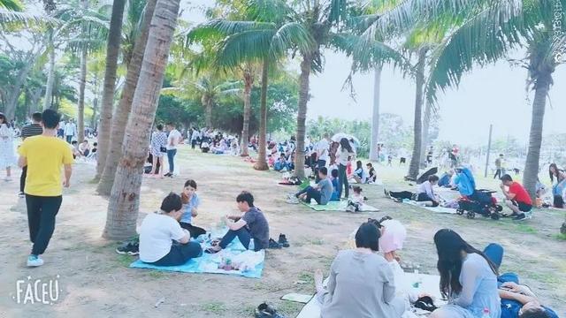 深圳湾公园地铁站，深圳湾公园地铁站开了吗（在深圳看海，坐地铁去就行了）