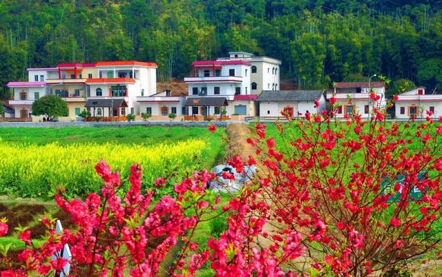 花都未来重点发展，权威发布这样的花都