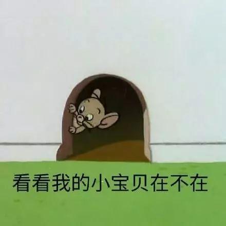 厦大二人宿舍入住条件，全国高校宿舍情况