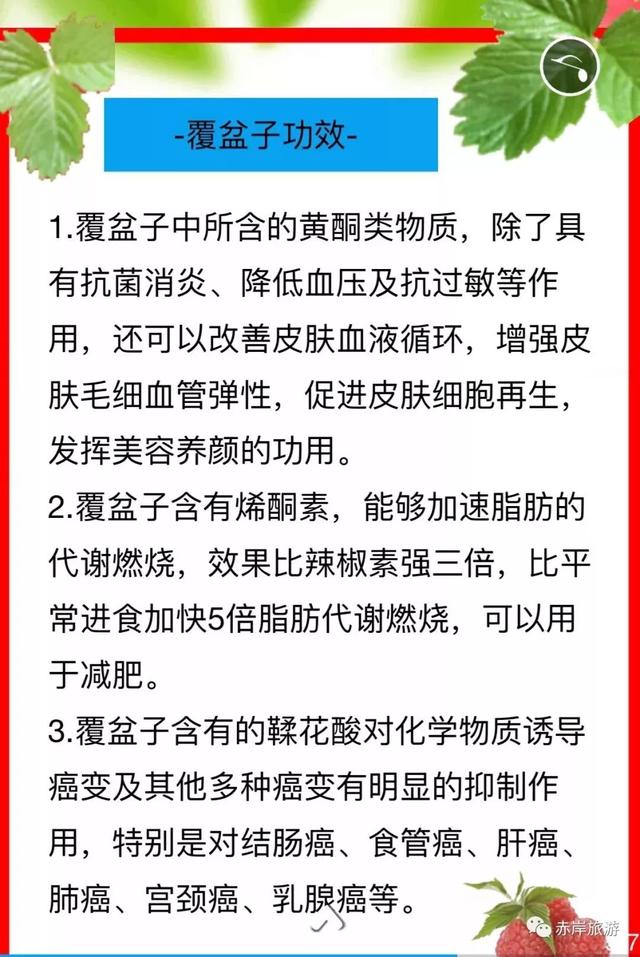 义乌旅游攻略必去的景点，“义乌十景”即将诞生