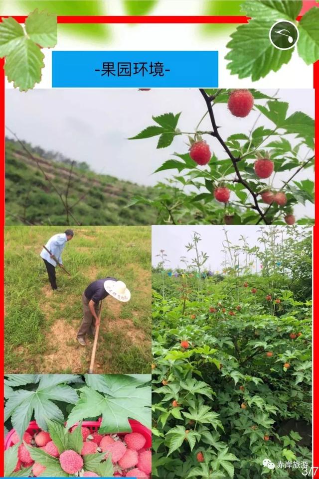 义乌旅游攻略必去的景点，“义乌十景”即将诞生