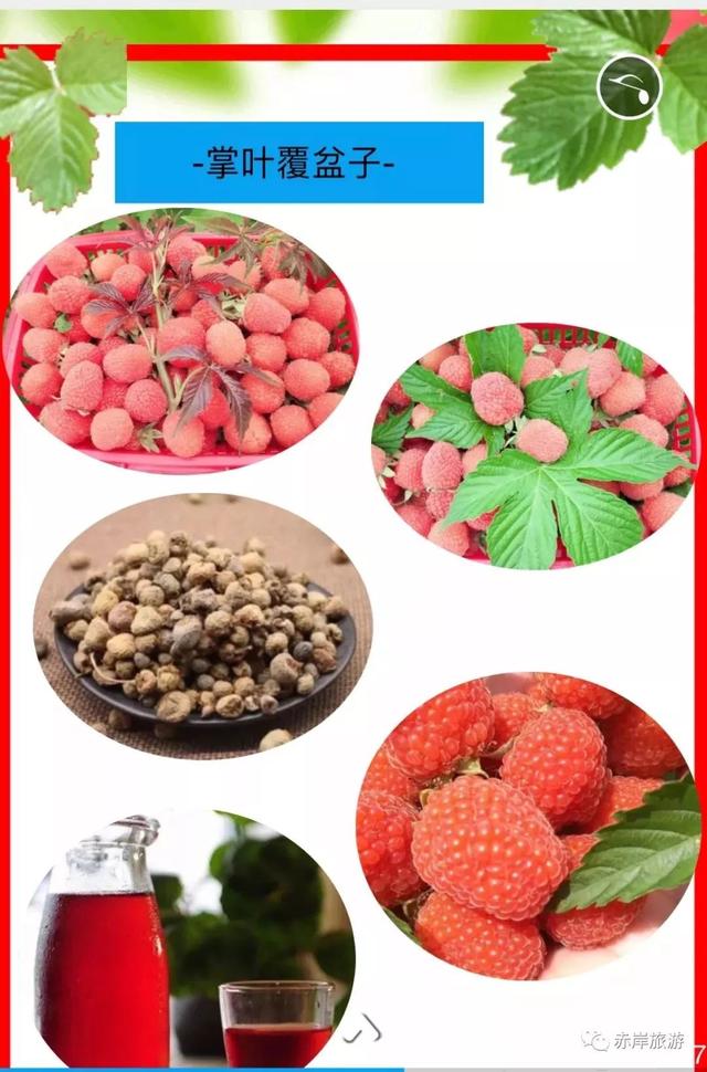 义乌旅游攻略必去的景点，“义乌十景”即将诞生