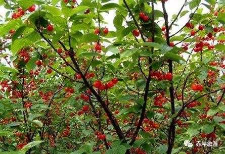 义乌旅游攻略必去的景点，“义乌十景”即将诞生