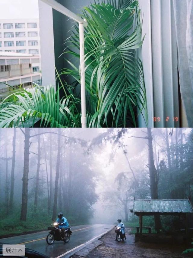 新手好用的胶片机，百元相机系列——让摄影走向普通人