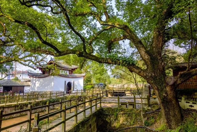 浙江丽水特色景点，丽水——被誉为“浙江绿谷”