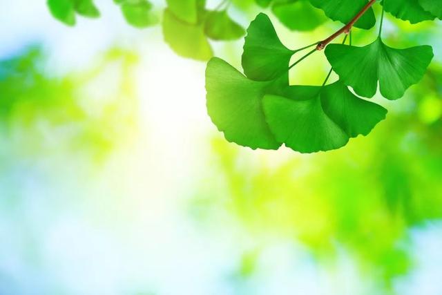 立夏最好的十首诗词，适合立夏发朋友圈的诗词