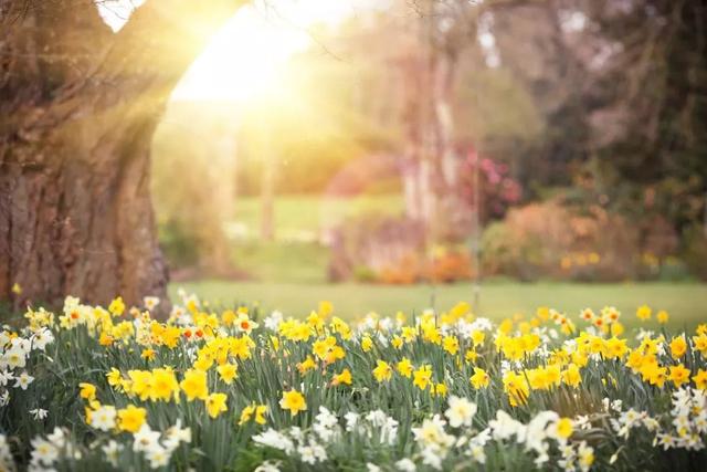 立夏最好的十首诗词，适合立夏发朋友圈的诗词