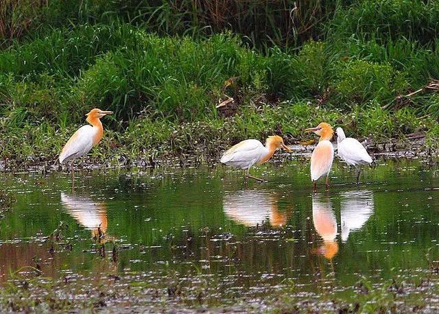 立夏最好的十首诗词，适合立夏发朋友圈的诗词