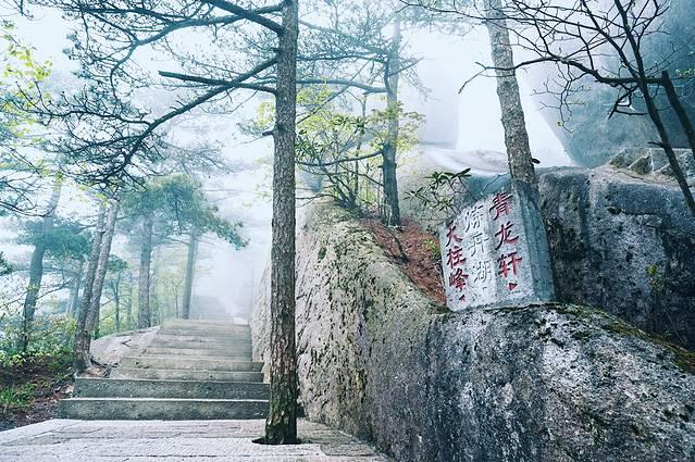 天柱山风景区在哪里，天柱山具体景点在哪里（理论与实践都要硬）