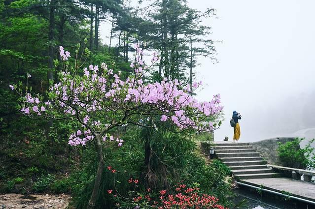 天柱山风景区在哪里，天柱山具体景点在哪里（理论与实践都要硬）