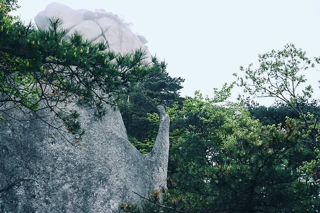 天柱山风景区在哪里，天柱山具体景点在哪里（理论与实践都要硬）