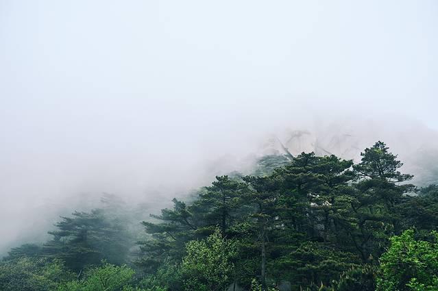 天柱山风景区在哪里，天柱山具体景点在哪里（理论与实践都要硬）
