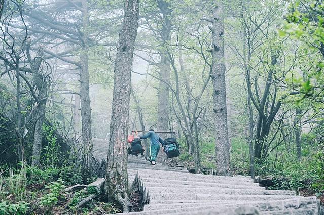 天柱山风景区在哪里，天柱山具体景点在哪里（理论与实践都要硬）