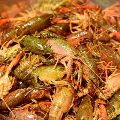 虾尾，虾尾家常做法