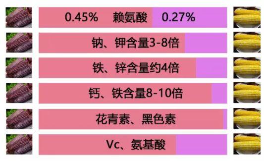 拉丝甜糯玉米，含糖量高于一般品种