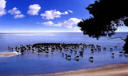 澜天湖旅游景区介绍，赏碧波万顷品舌尖美味