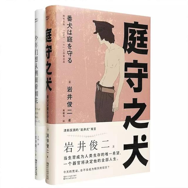 对岩井俊二评价，暗黑系岩井俊二