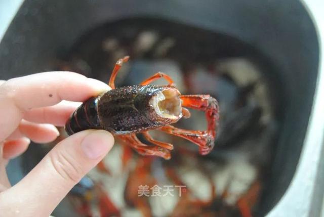 小龙虾怎么做好吃又简单，又简单又好吃的小龙虾做法（虾肉嫩滑麻辣入味）