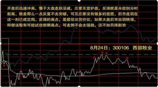 超短线高手分时线战法讲解，分时选股的原则及注意事项