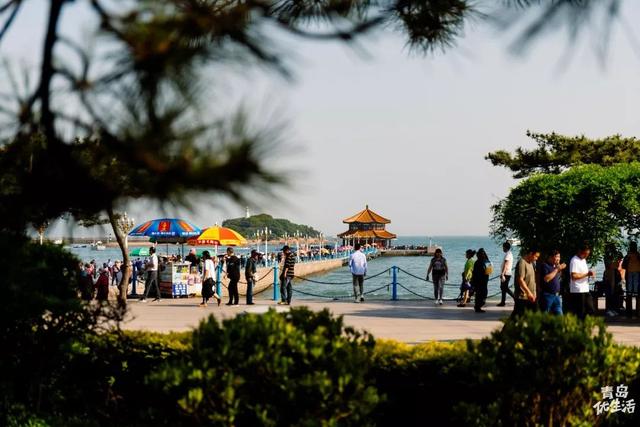 可以旅游的复古机车，Transalp正式亮相日本