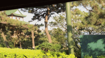 可以旅游的复古机车，Transalp正式亮相日本