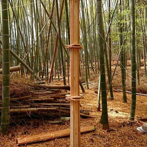 夏蒙经典眼镜框，日本商务眼镜品牌—夏蒙Z钛和线钛模特上脸佩戴效果展示