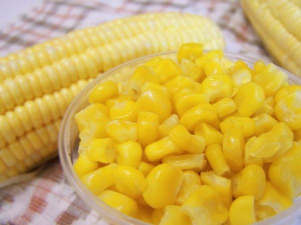 积食容易肥胖(积食容易肥胖吗)