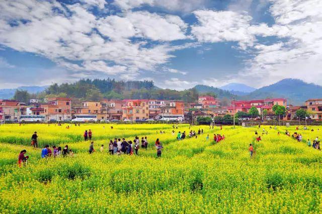 花都未来重点发展，权威发布这样的花都