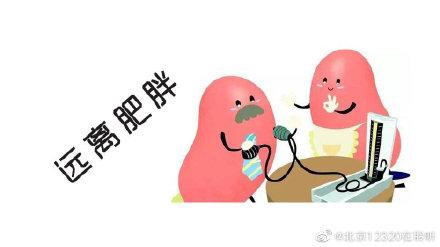 怎么拒绝肥胖(怎么拒绝肥胖纹身)
