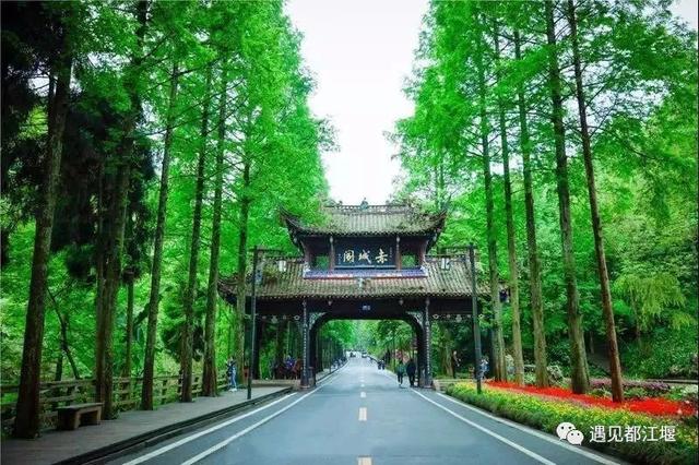 四川青城山旅行指南，青城山的前山和后山哪个值得去