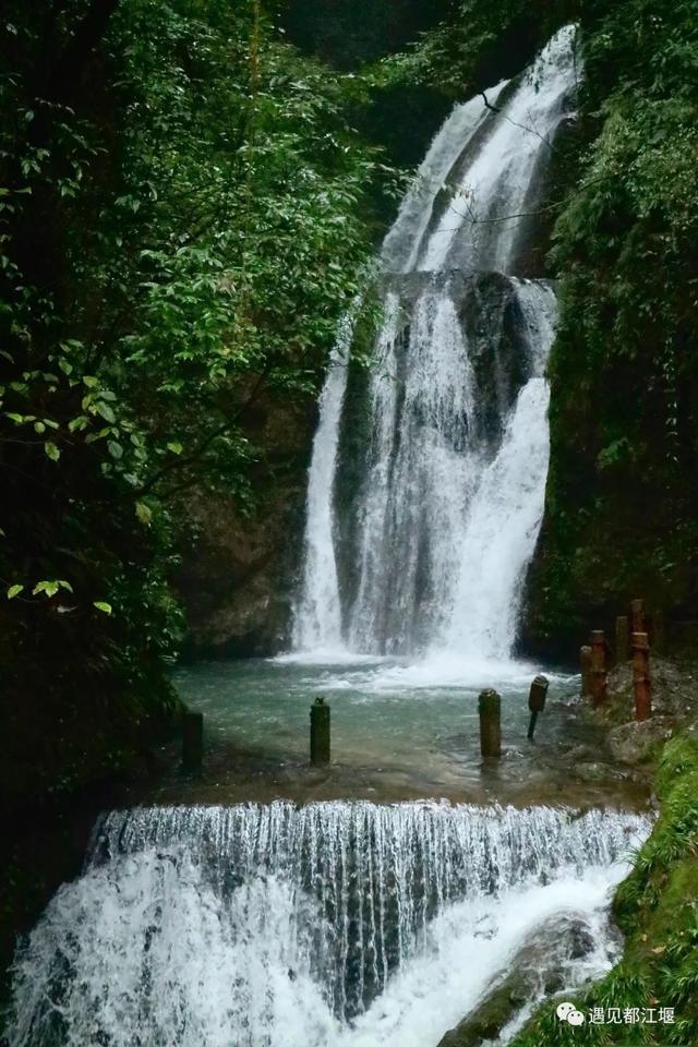 四川青城山旅行指南，青城山的前山和后山哪个值得去