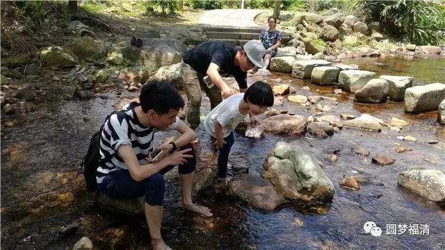 灵石山国家森林公园，福建适合玩水的地方