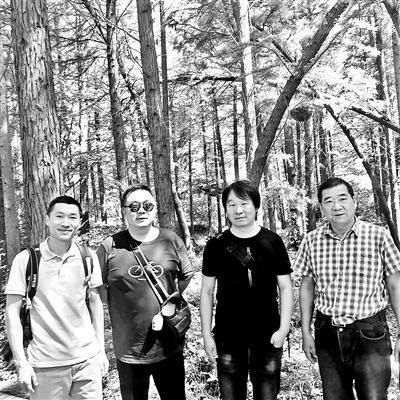 汪曾祺散文好段赏析，平淡中的诗意——汪曾祺散文语言赏析