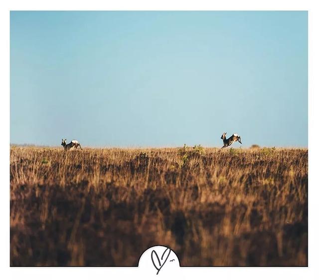 李宗盛最好听的十首歌，李宗盛最好听的10首歌
