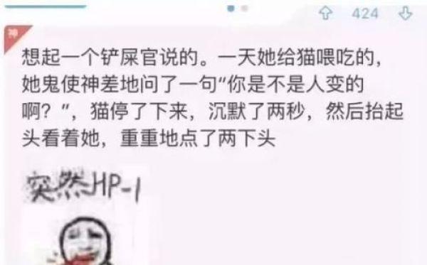 猫的智商普遍多少，猫的智商到底有多高