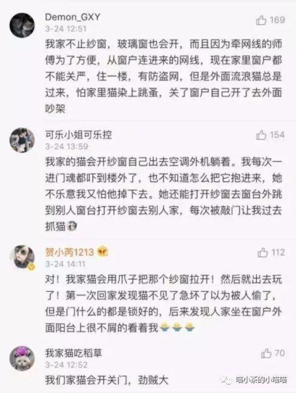 猫的智商普遍多少，猫的智商到底有多高