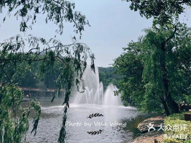 青岛有什么好玩的地方，青岛值得去的九个地方