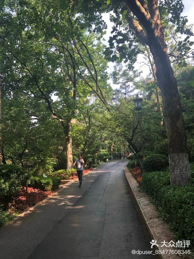 青岛有什么好玩的地方，青岛值得去的九个地方