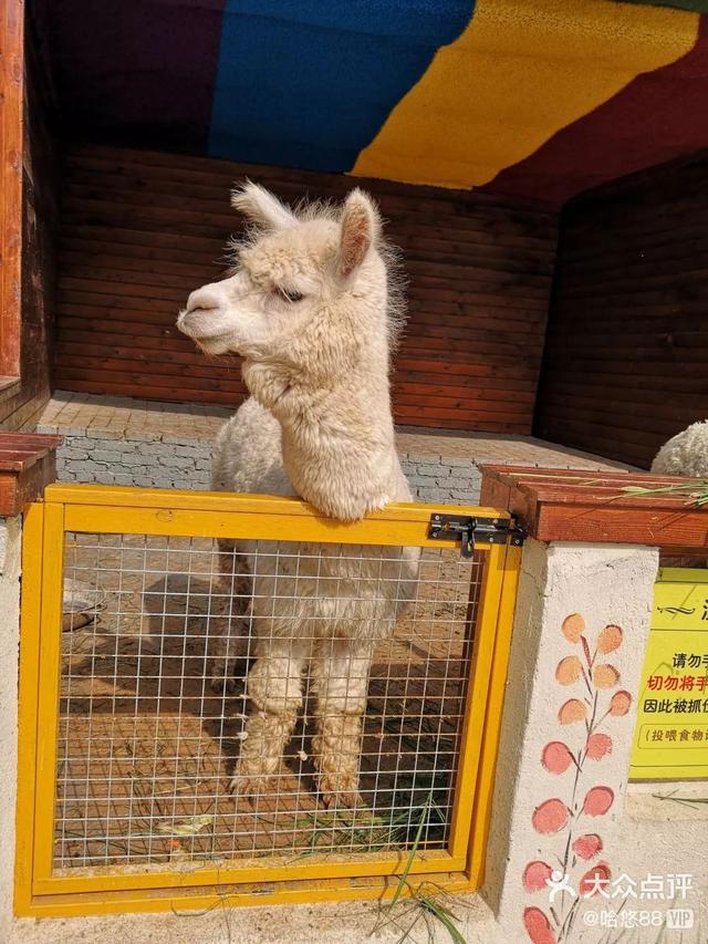 青岛有什么好玩的地方，青岛值得去的九个地方