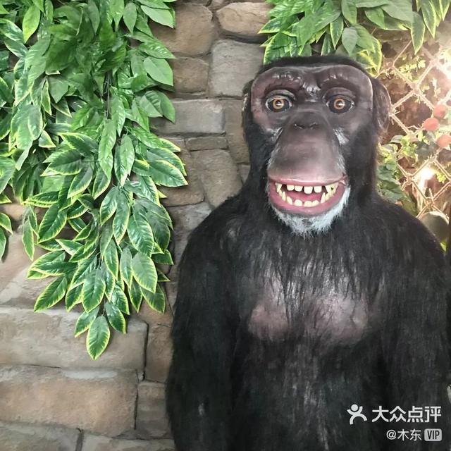 青岛有什么好玩的地方，青岛值得去的九个地方