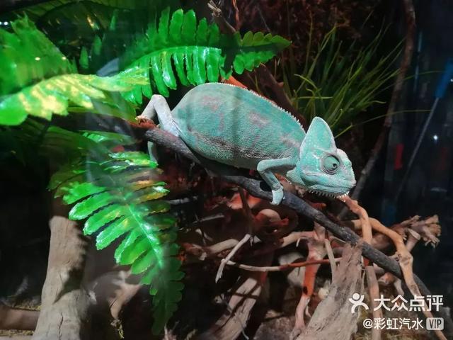 青岛有什么好玩的地方，青岛值得去的九个地方