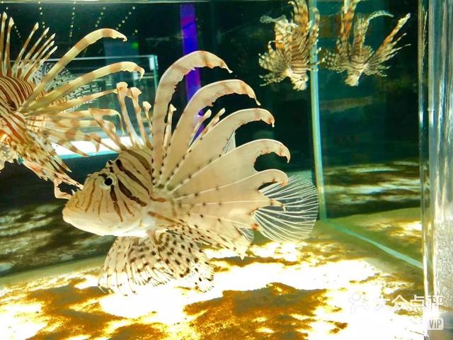 青岛有什么好玩的地方，青岛值得去的九个地方