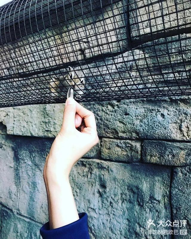 青岛有什么好玩的地方，青岛值得去的九个地方