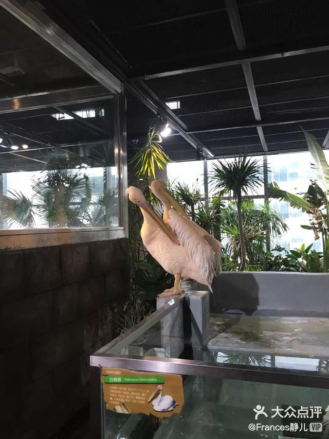 青岛有什么好玩的地方，青岛值得去的九个地方