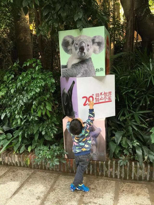 珠海长隆动物园，广州长隆野生动物世界亲子游攻略