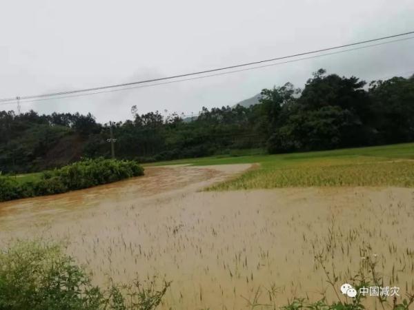 南方地区多省份遭遇洪涝灾害，我国多地遭遇大暴雨袭击……