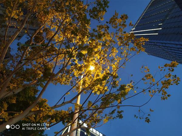 小米cc9与cc9e对比，小米CC9和CC9e该怎么选